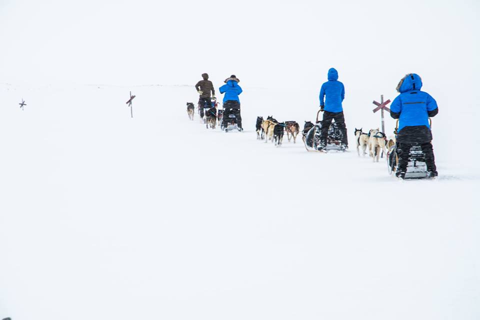 På hundeslædeekspedition nord for Polarcirklen