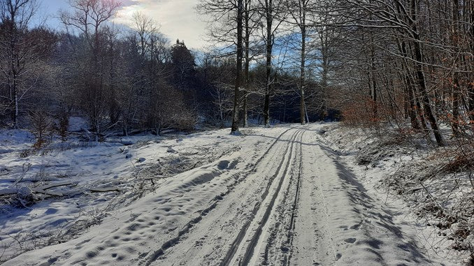 Tag på ski i Danmark