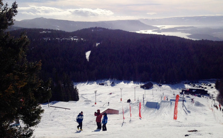 Få drømmejobet i Ringkollen Parken