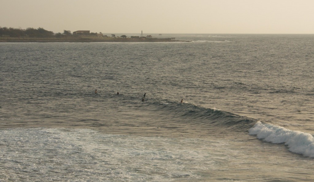 SURFins-3